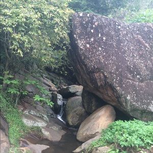 Meet your Posher, Joy